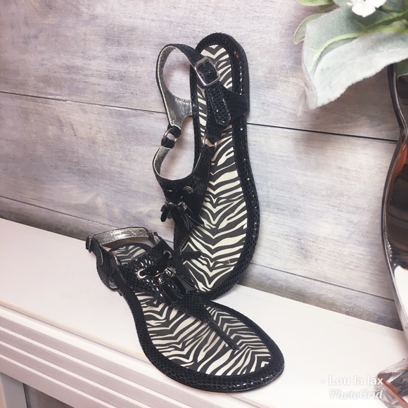 Sperry Shoes - Sperry Topsider